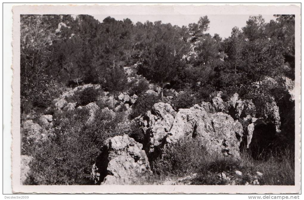 BR7482 La Roquebrussanne Les Neuf Fonds  2 Scans - La Roquebrussanne