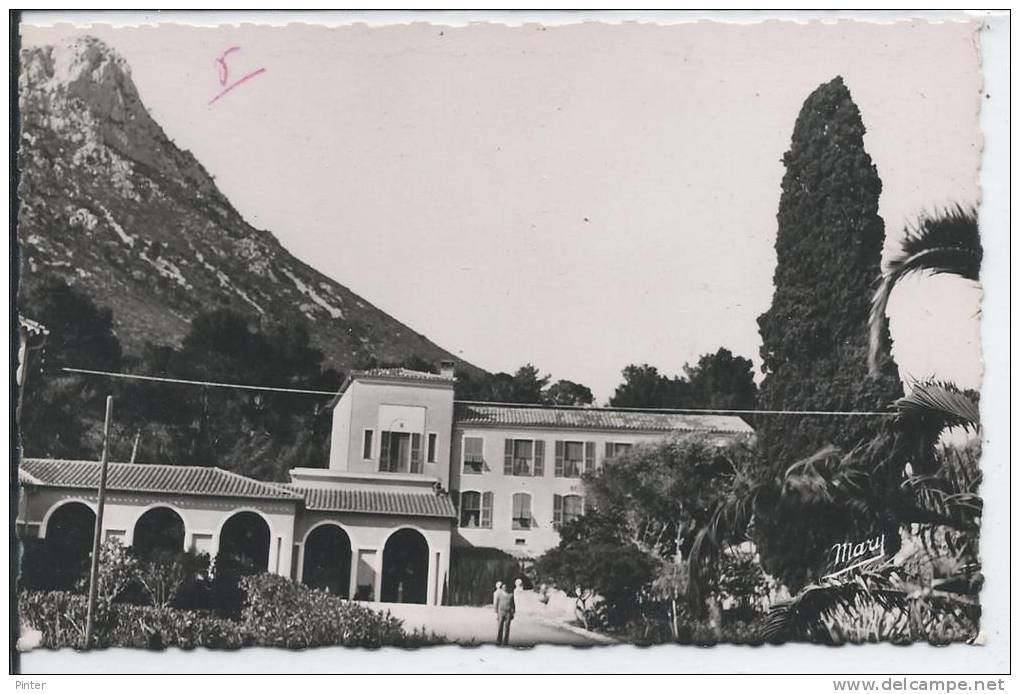 LA VALETTE - Le Coudon - Domaine Des Gueules Cassées - La Valette Du Var