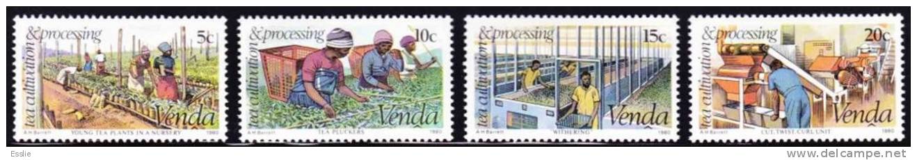 Venda - 1980 - Tea Cultivation - Full Set - Venda