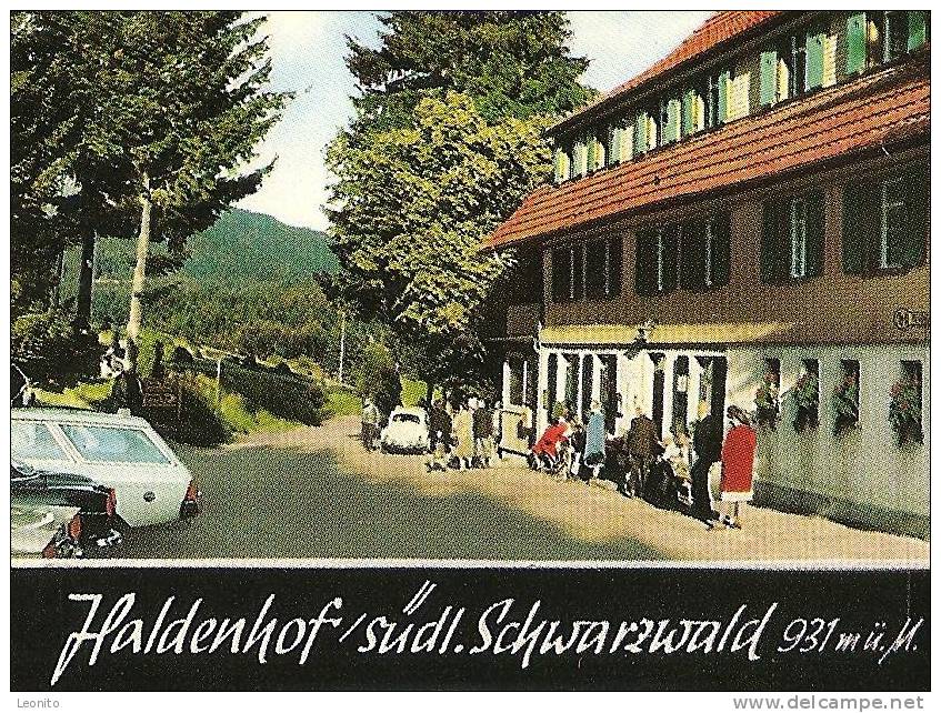 HALDENHOF Gasthof Schönau Schopfheim Neuenweg Schwarzwald Belchen 1968 - Schopfheim