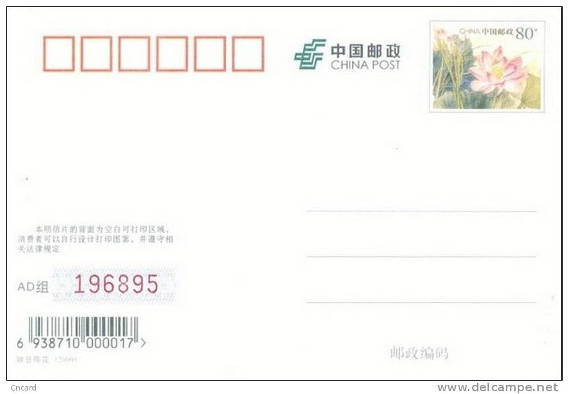 Q02-048    **   Film Cinema Movie Titanic   ----- Postal Stationery--Ganzsache--Entier Posta - Cinéma