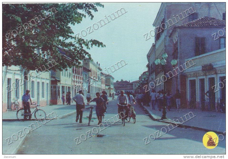 SHKODER Albania, Bicycles Vintage Old Photo Postcard - Albanien