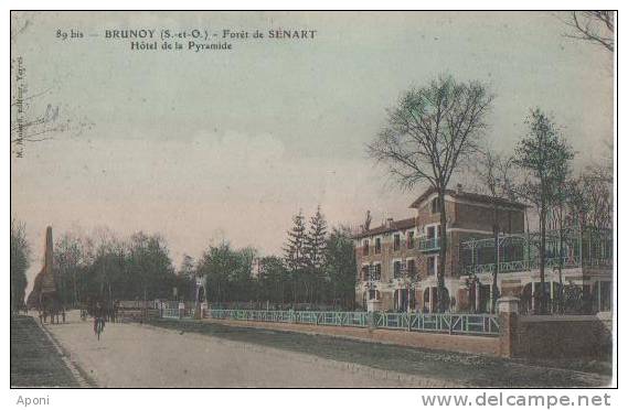 BRUNOY ( .FORET DE SENART ) Hotel De La Pyramide .( COULEUR ) - Brunoy