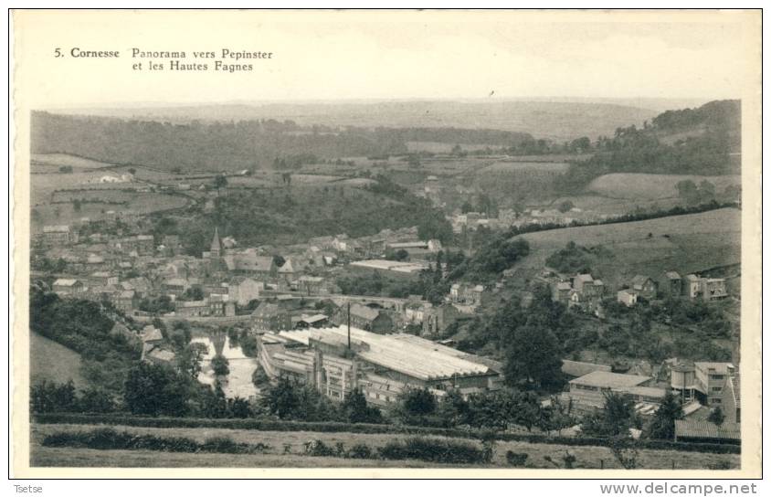 Cornesse - Panorama Vers Pepinster Et Les Hautes Fagnes ( Voir Verso ) - Pepinster