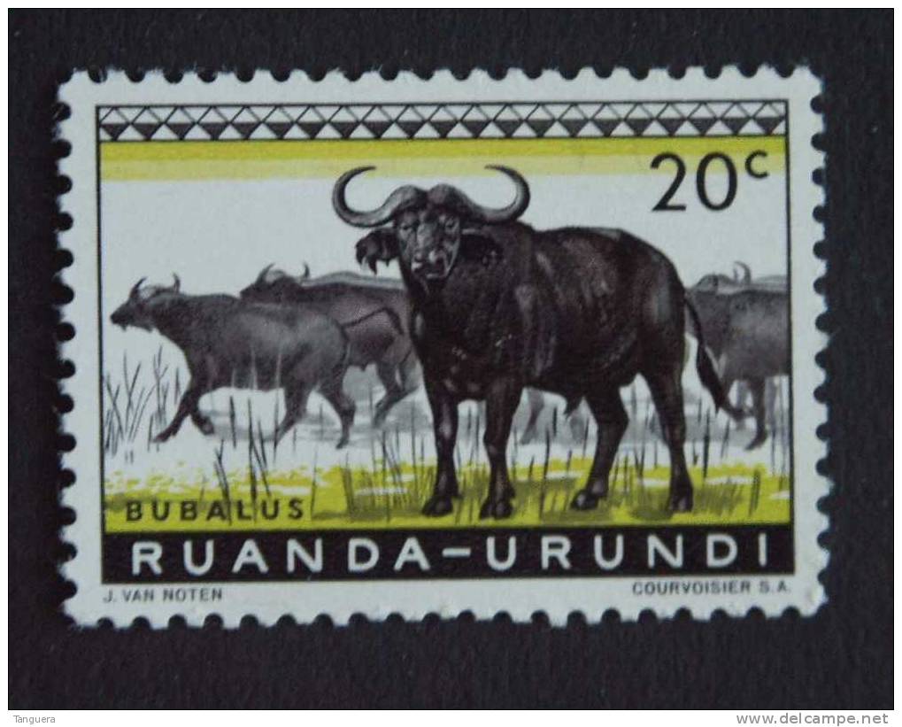 Ruanda-Urundi Buffel Buffle Yv 206 MNH ** - Vaches