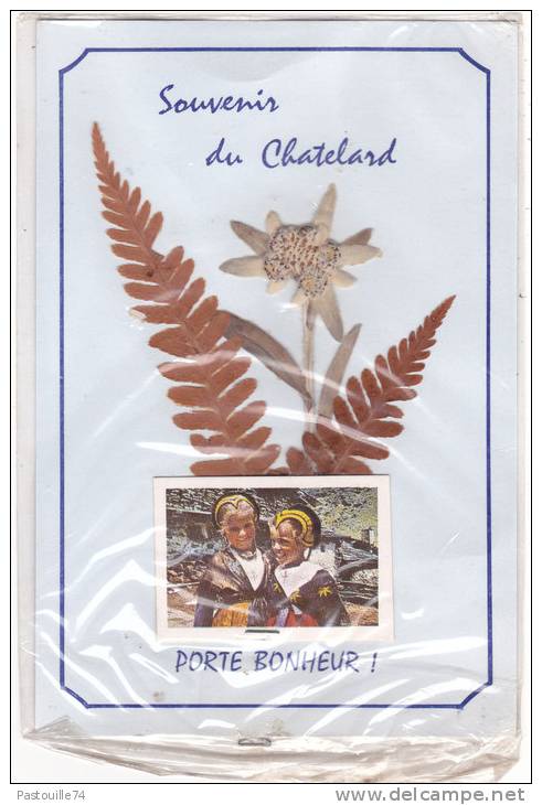 Souvenir  Du  Chatelard.  PORTE  BONHEUR !   (carte Avec Fleurs Sechées Sous Emballage D´origine) - Le Chatelard