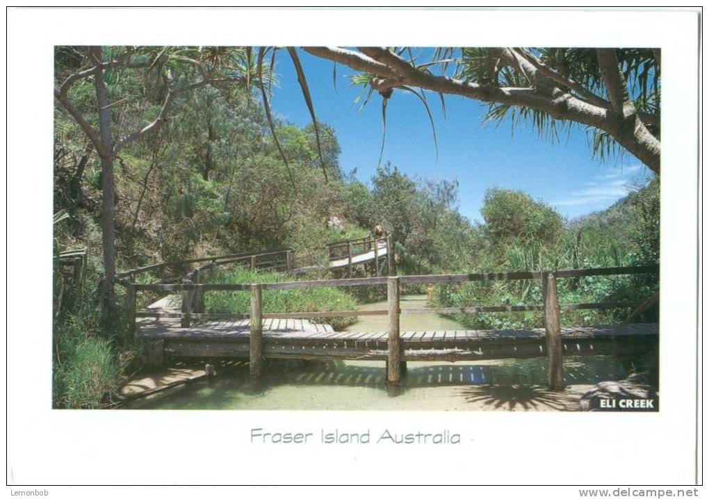 Australia, Fraser Island, Eli Creek, 1999 Used Postcard [10666] - Autres & Non Classés