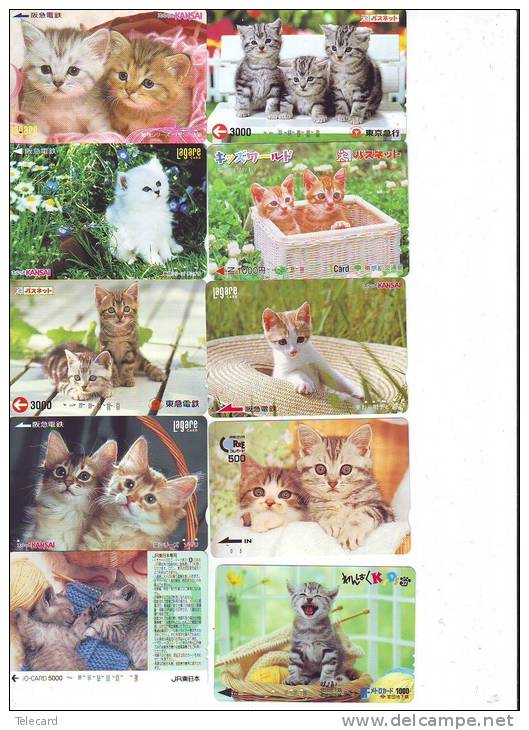 LOT 50 Telecartes + Prepayees Differentes Japon * CHATS * CATS  * KATZE * KATTEN (LOT 235) Prepaid Cards Japan - Sammlungen