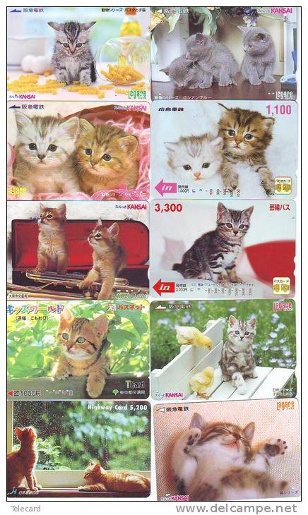 LOT 50 Telecartes + Prepayees Differentes Japon * CHATS * CATS  * KATZE * KATTEN (LOT 241) Prepaid Cards Japan - Collections