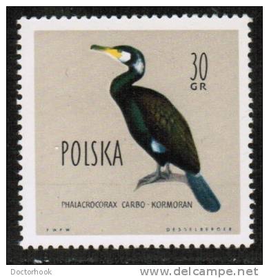 POLAND    Scott #  937**  VF MINT NH - Unused Stamps