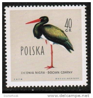 POLAND    Scott #  938**  VF MINT NH - Unused Stamps