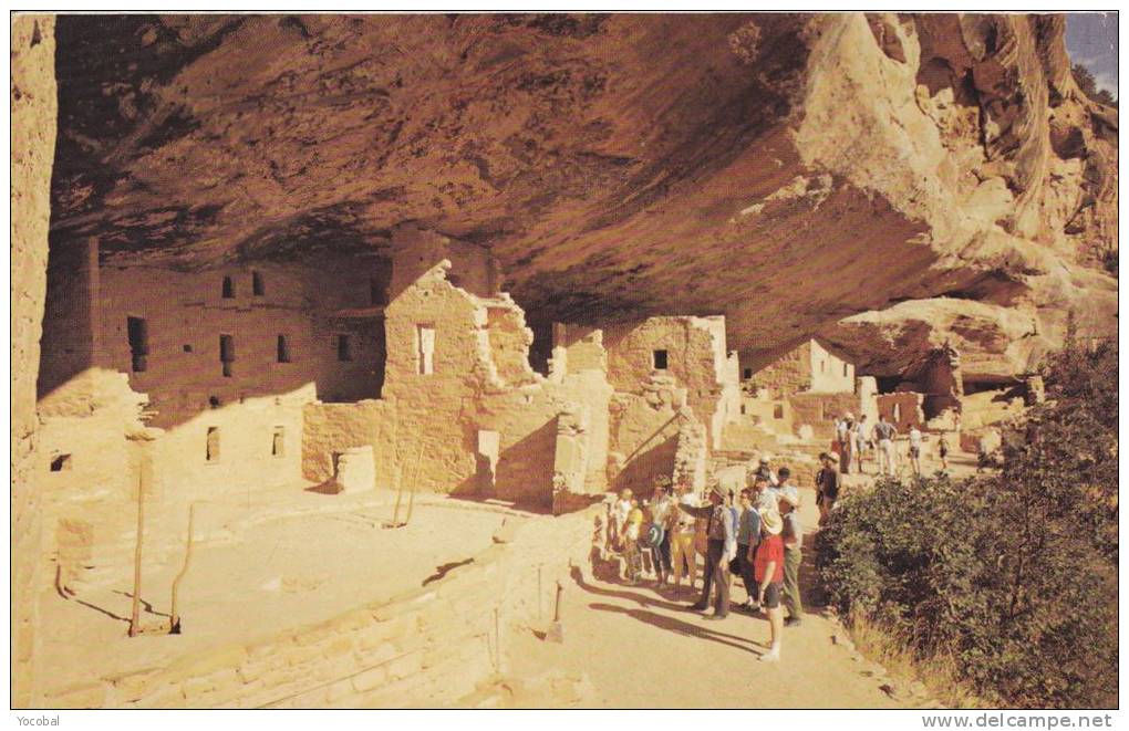 Cp , ETATS-UNIS , MESA VERDE , National Park Near Cortez - Mesa Verde