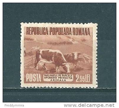 Roumanie: 1334 * - Vaches
