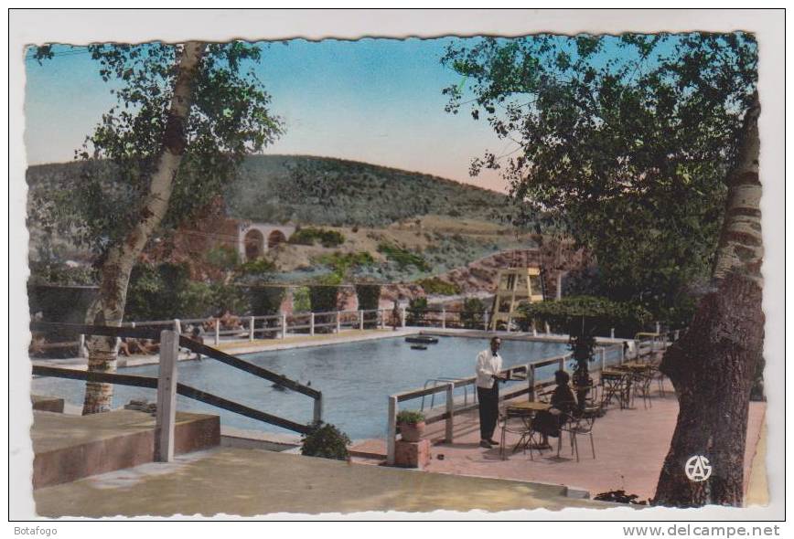 CPM TIARET, LA PISCINE En 1955 - Tiaret