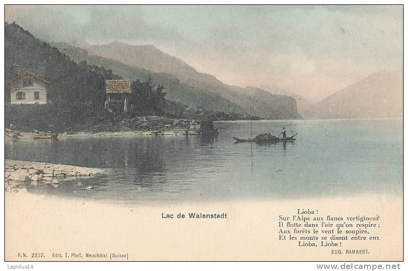 F F S 946/ C P A   -SUISSE - LAC  DE WALENSTADT - Walenstadt