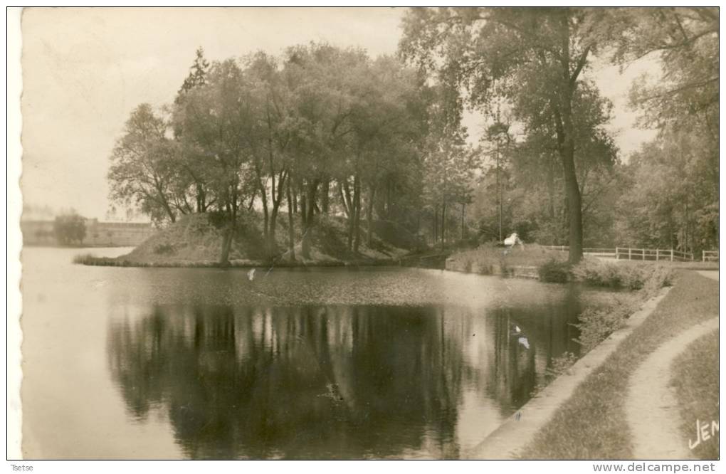 Le Quesnoy  - L'étang Du Pont Rouge -1956 ( Voir Verso ) - Le Quesnoy