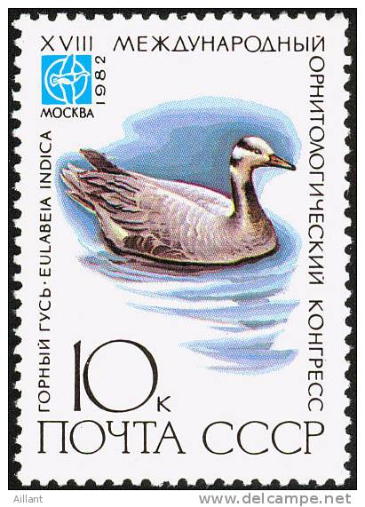 Russie.1982 . Oie à Tête Barrée (Anser Indicus) ** - Oies