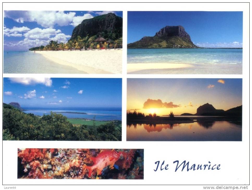 (600) Ile Maurice - Mauritius - Mauritius