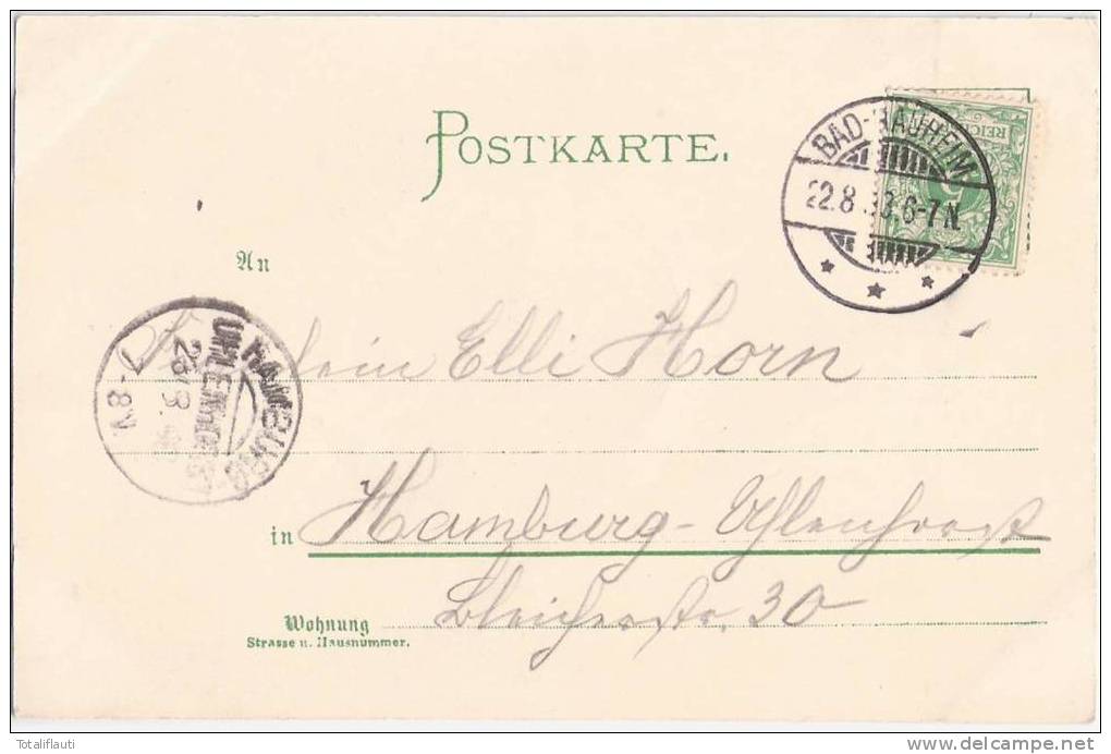 Gruss Aus Bad Nauheim Color Litho Parkstrasse Haus Bellevue 22.8.1898 Gelaufen - Bad Nauheim