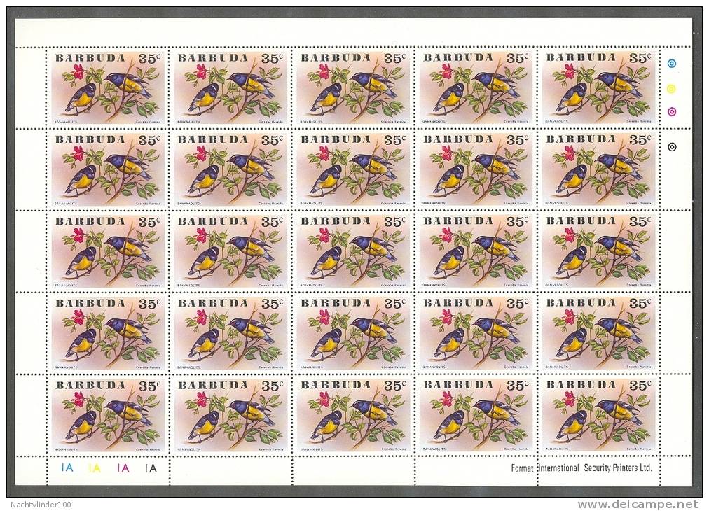 Mkt001c VOGELS PURPERHOEN STERN BIRDS TERN VÖGEL AVES BARBUDA 1976 PF/MNH  ** IN PRIJS VERLAAGD, PRICE REDUCED** - Collections, Lots & Series