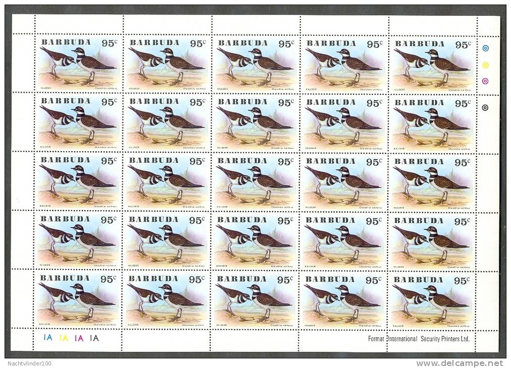 Mkt001c VOGELS PURPERHOEN STERN BIRDS TERN VÖGEL AVES BARBUDA 1976 PF/MNH  ** IN PRIJS VERLAAGD, PRICE REDUCED** - Collections, Lots & Séries