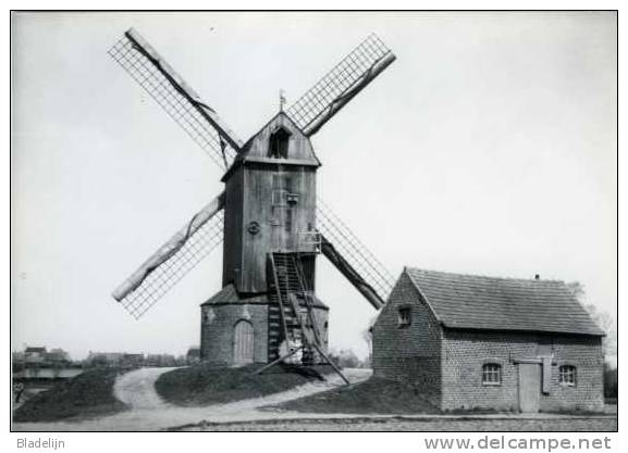 ZARREN (W.Vl.) - Molen/moulin - Historische Opname (ca. 1935) Van De Wullepitmolen Met Verdwenen Maalderijgebouw. TOP !! - Kortemark