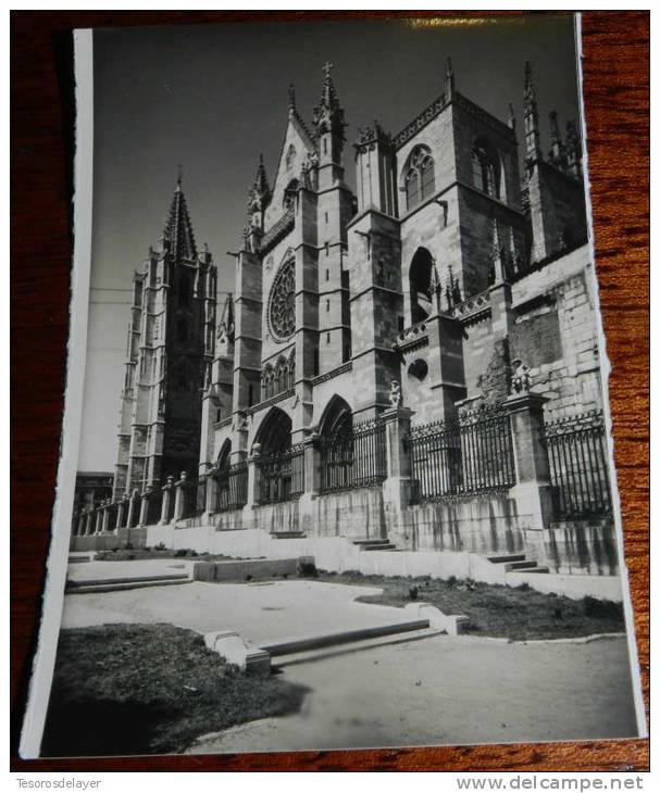 ANTIGUA FOTO POSTAL DE LEON, CATEDRAL, N. 29, ED. L. ROISIN, NO CIRCULADA. - León