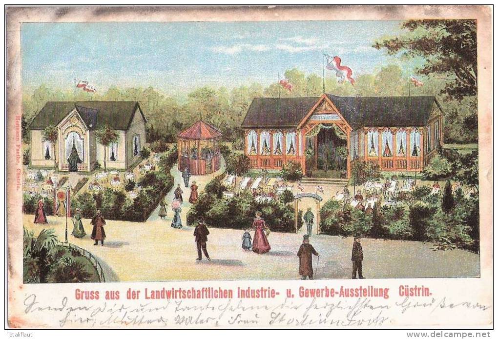 Landwirtschaft Industrie Gewerbe Ausstellung Küstrin Kostrzyn Nad Odr&#261; SST 14.6.1903 Gelaufen - Neumark