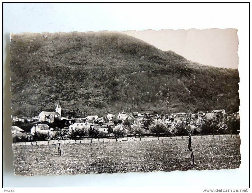 Carte Postale Ancienne : SALECHAN : Vue Générale - Autres & Non Classés