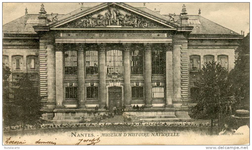 CPA 44 NANTES MUSEUM D HISTOIRE NATURELLE 1903 - Nantes