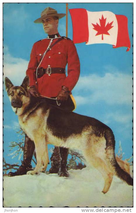 Canada -Postcard- Royal Canadian Mounted Policeman With Dog-unused - Police - Gendarmerie