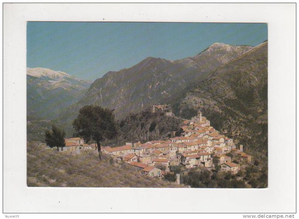 06 Piene Haute Joli Village Dominant La Roya Ex Point De Base Italienne Vers Le Col De Brouis Annexé En 1947 - Other & Unclassified