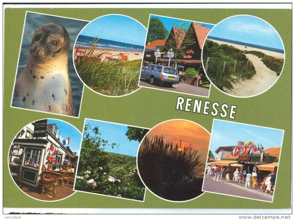 Holland, Netherlands, Renesse, 1991 Used Postcard [10811] - Renesse