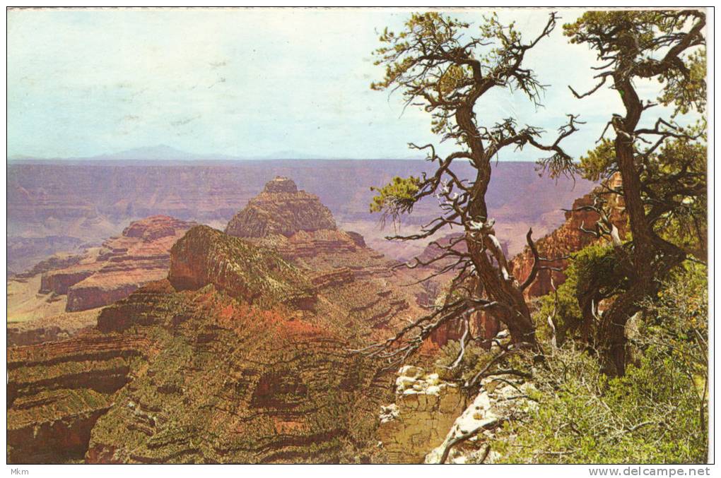 From Cape Royal - Grand Canyon