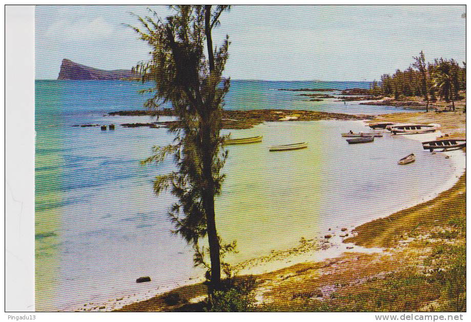 Ile Maurice Cap Malheureux Philatélie Thème Oiseau Par Avion - Mauricio