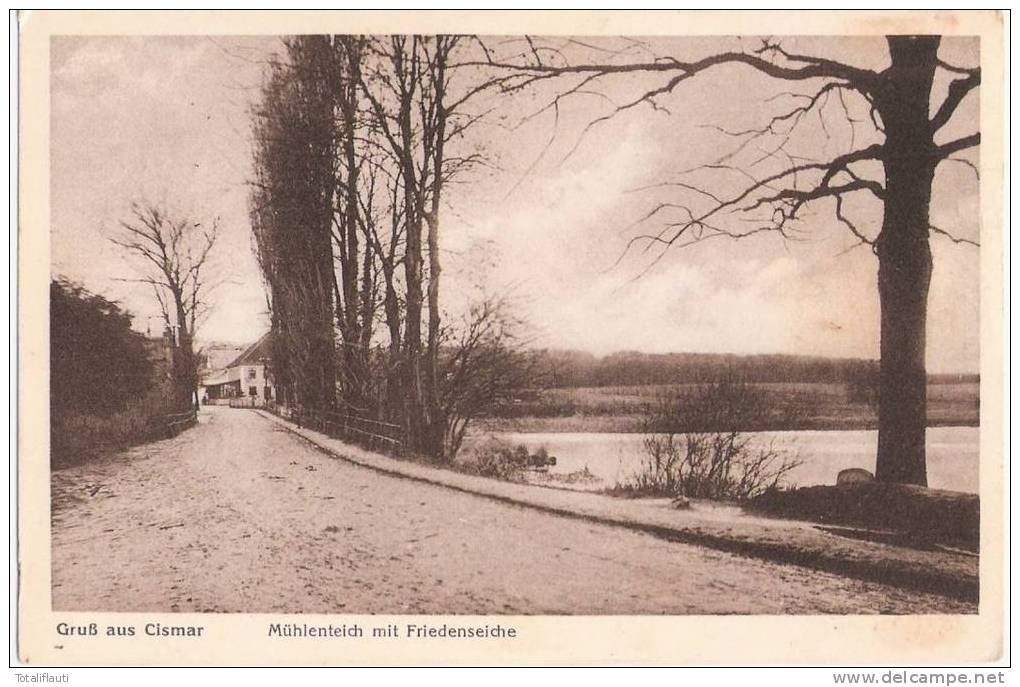 Cismar In Holstein Mühlenteich Mit Friedenseiche 15.5.1931gelaufen Autograph Johannes Von Ehren Nach Lübeck - Neustadt (Holstein)