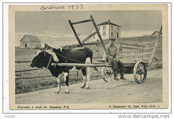 Charrette A Boeuf En Gaspesie PQ Ox Cart P. Used  Canada 1937 - Gaspé