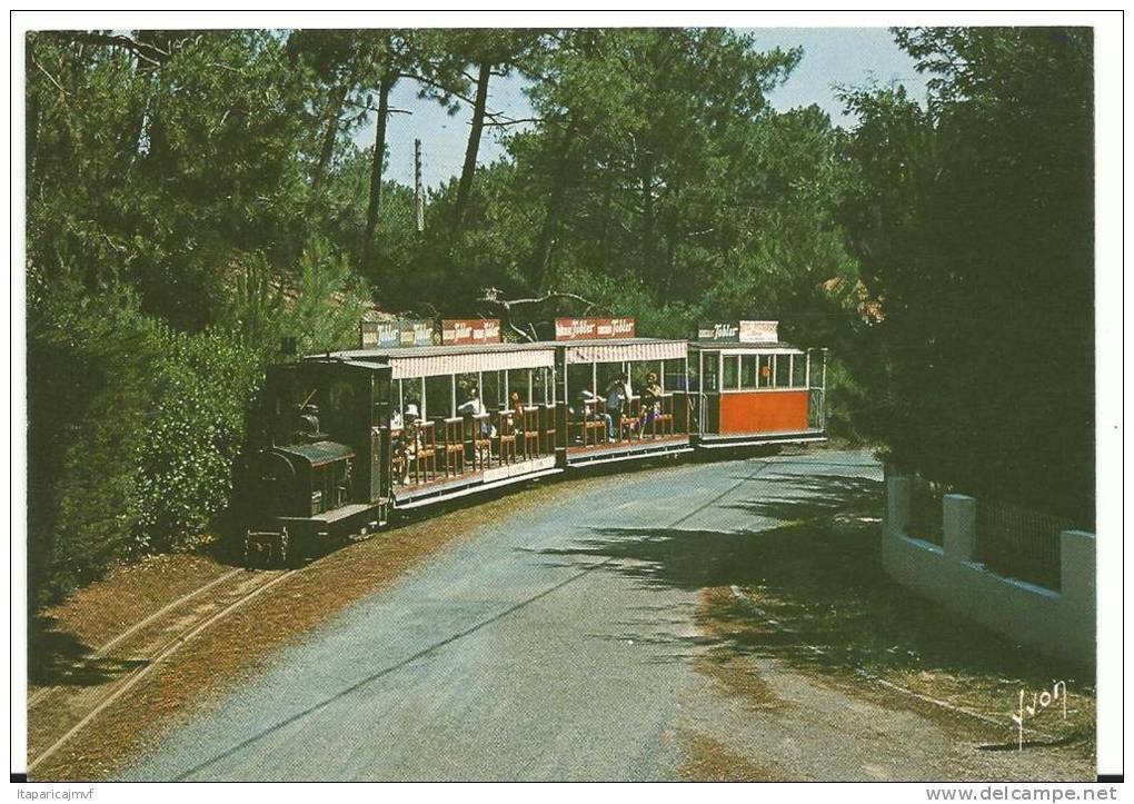 Gironde : CAP - FERRET  : Le  Petit  Train  1985 - Other & Unclassified