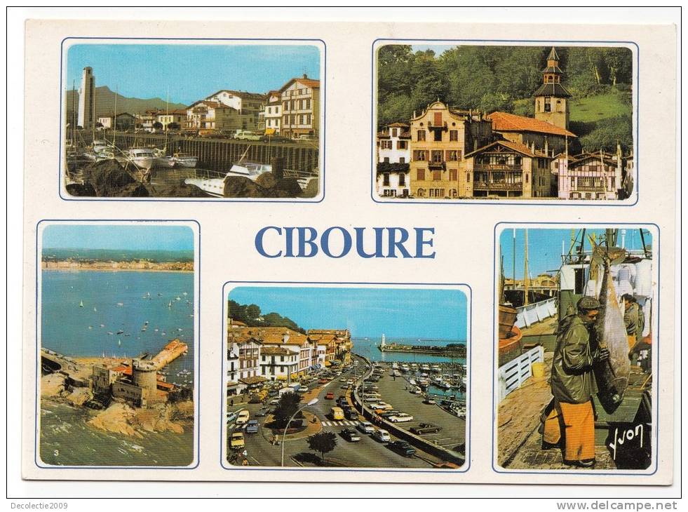 BR8603 Ciboure Multe Views  2 Scans Bande Blanche De L´analyse - Ciboure