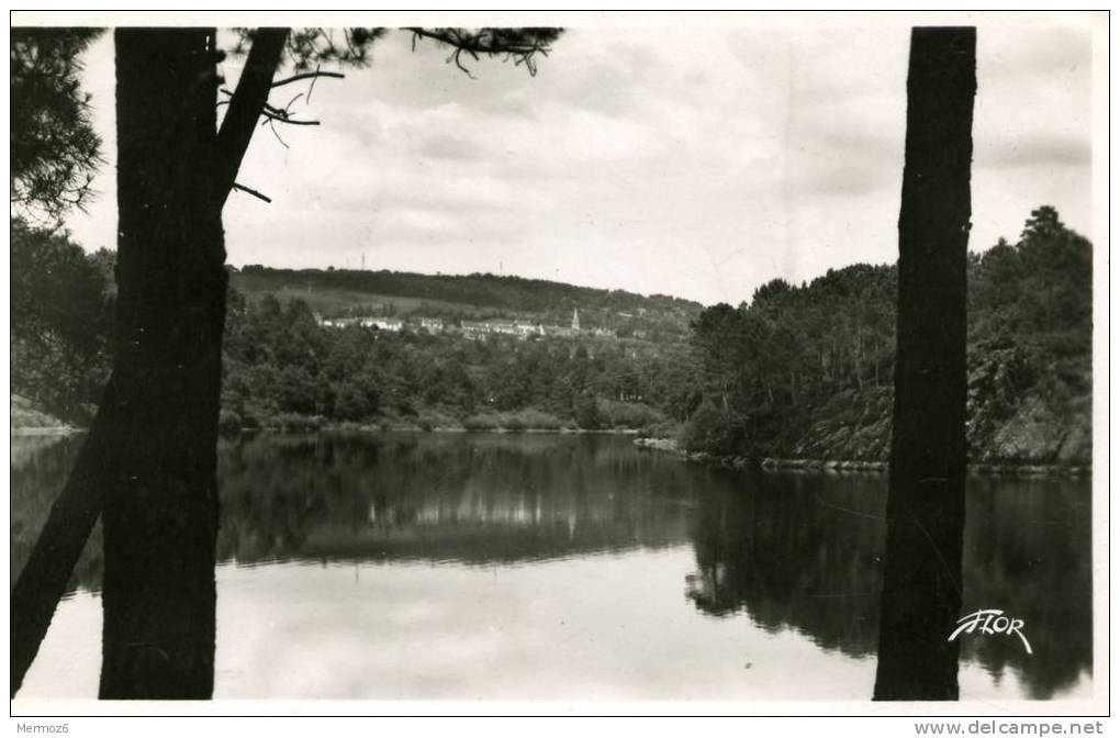 Caurel Vue Des Bords Du Lac 4180 Editions Marceau Carriere Flor 1952 - Caurel