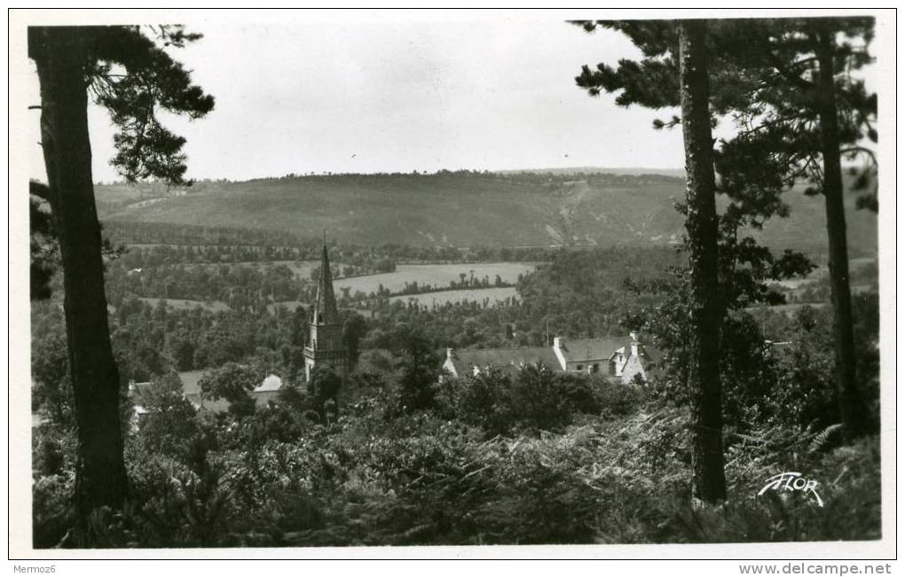 Caurel Le Bourg à Travers Les Pins 4181 Editions Marceau Carriere Flor - Caurel