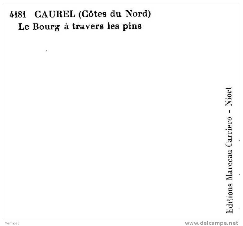 Caurel Le Bourg à Travers Les Pins 4181 Editions Marceau Carriere Flor - Caurel