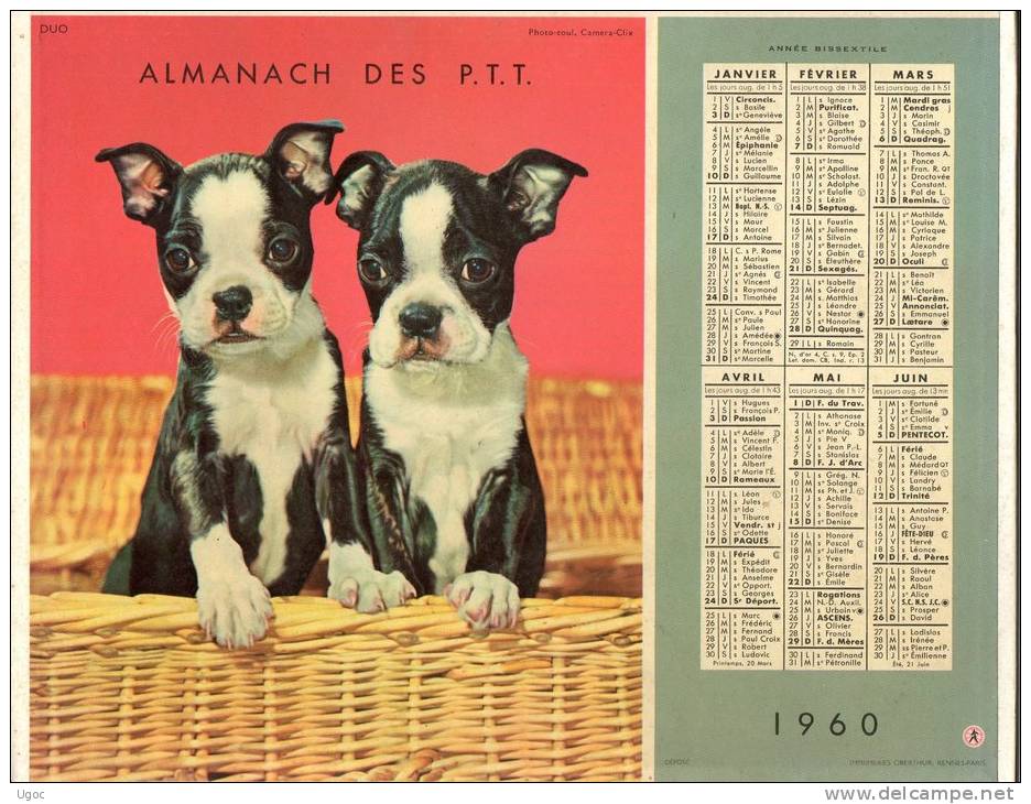 -  CALENDRIER Image Recto-Verso 1960 - Thèmes Chiens Et Chats - 507 - Formato Grande : 1941-60