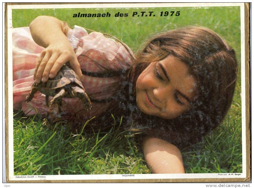 -  CALENDRIER Image Recto-Verso 1975 - Au Haras Et Taquinerie ( Tortue ) . - Formato Grande : 1971-80