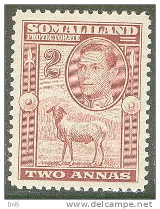 SOMALILAND PROTECTORATE SG 95* LH BERBERA BLACKHEAD SHEEP - Somaliland (Protectoraat ...-1959)