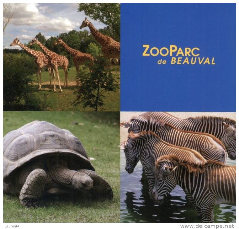 (305) Zoo Pard De Beauval - Tortoise - Giraffe - Zebra - Tortues