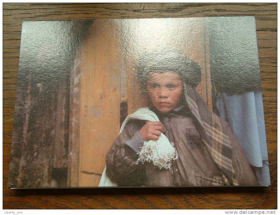 A Little Boy Steering At A Bird Cage In Bazaar, Kabul Province / Photo 2009 ( 18 X 13 Cm. / Voir Photo Pour Detail) ! - Afghanistan