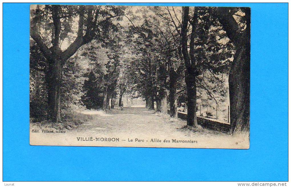 69 Villié- MORGON : Le Parc - Allée Des Marronniers - Villie Morgon