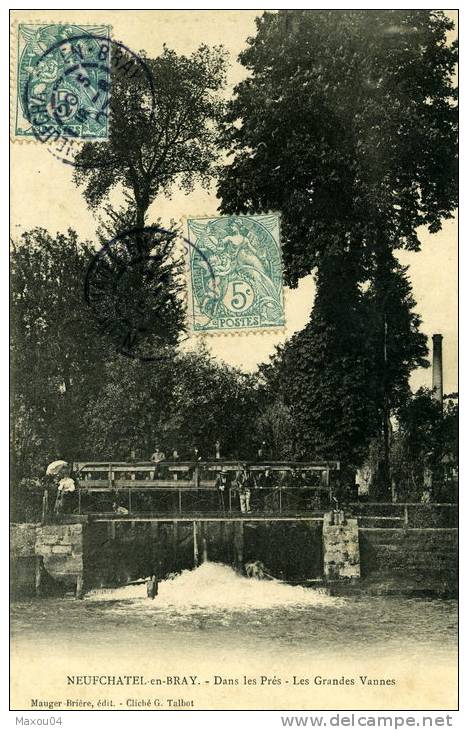 Seine Maritime - Neufchâtel En Bray - Dans Les Prés - Les Grandes Vannes - Neufchâtel En Bray