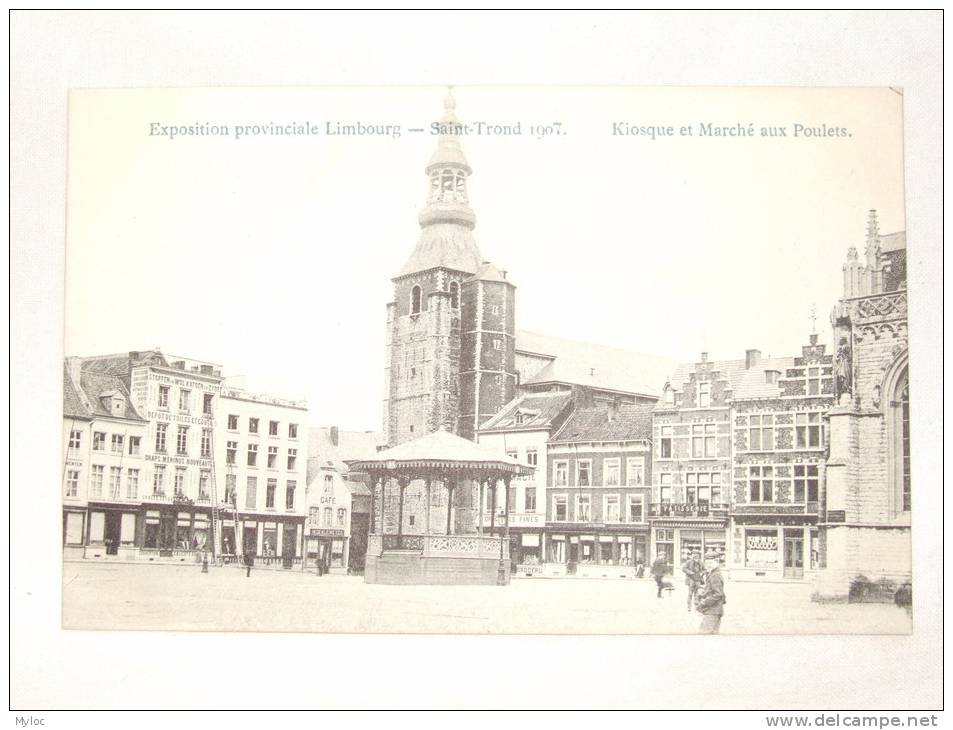 Sint-Truiden. Saint-Trond. 1907. Exposition Provinciale. Kiosque Et Marché Aux Poulets. - Sint-Truiden